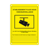 CCTV Plate Approved (French) [EM-281F]