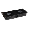 2-Fan Unit for Floor Standing Cabinets of the RS / ZRS type [RAWP]